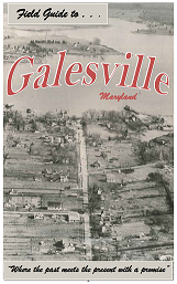 Field Guide to Galesville